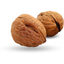 Óc chó · Macca
